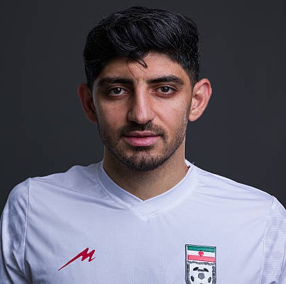 	Mehdi Torabi 	